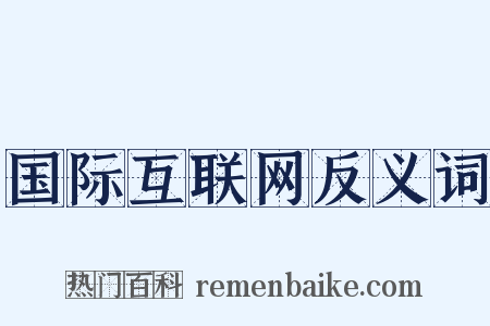 国际互联网反义词是什么意思的图片